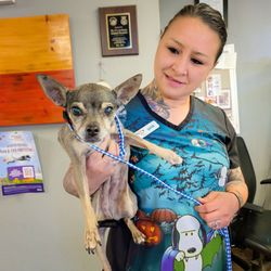 Dr. C’s Animal Hospital