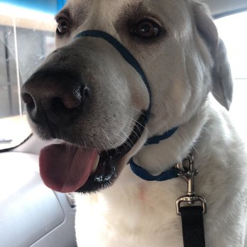 Animal Care Clinic - Fritz - Veterinarians Near Me - Round Rock, Texas Animal Care Clinic - Fritz - Veterinarians Near Me - Round Rock, Texas