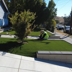 Green Vine Landscaping - Elegant Front Yard Design