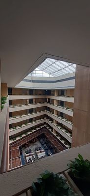 Holiday Inn Singapore Orchard City Centre by IHG by null