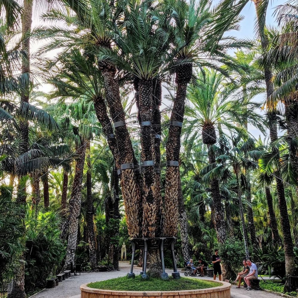 THE BEST 10 AMUSEMENT PARKS in EL CAMPELLO, ALICANTE, SPAIN - Updated 2026  - Hours - Yelp