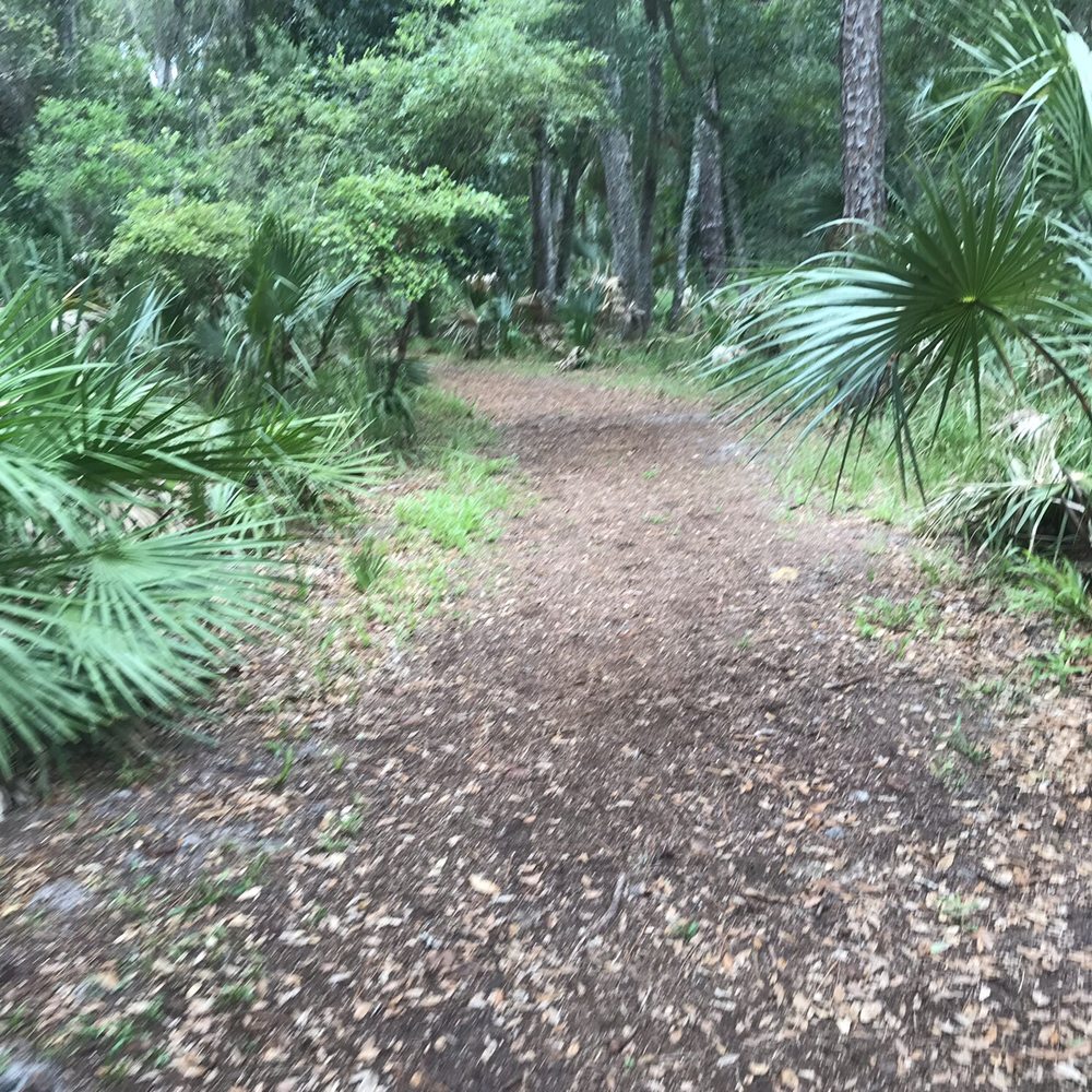 Bulow Plantation RV Resort - Parks Near Me - Flagler Beach, Florida Bulow Plantation RV Resort - Parks Near Me - Flagler Beach, Florida