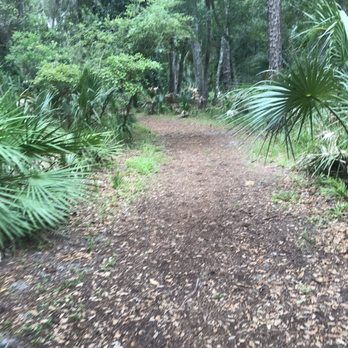 Bulow Plantation - Parks Near Me - Flagler Beach, Florida Bulow Plantation - Parks Near Me - Flagler Beach, Florida