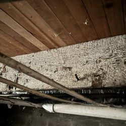 Walker Real Estate Consultants - Plumbing- NOT upto codes- wrong diameter pipes