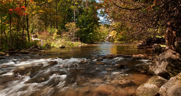 Belfountain Conservation Area by null