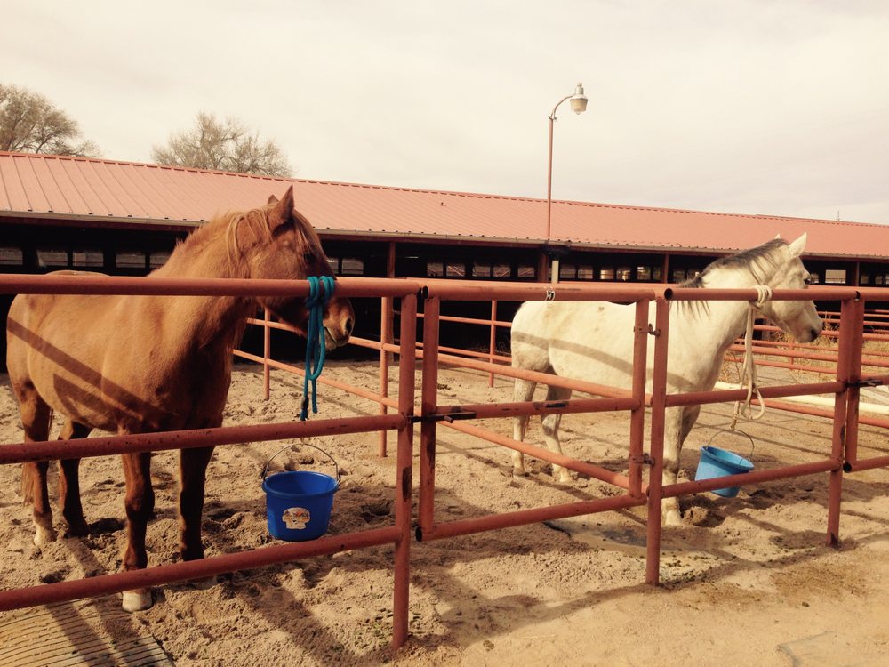 SPUR STABLES Updated August 2024 2029 Lakeview Rd SW, Albuquerque