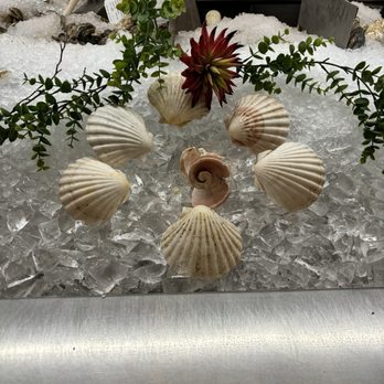 Crab and Fin - Seafood Near Me - Sarasota, Florida