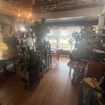 Sunshine Joe’s Coffee Shop - Coffee & Tea Near Me - Largo, Florida