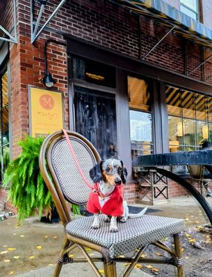 Marty's Cafe by null