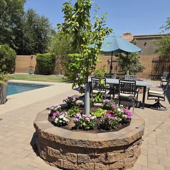 JNK Landscaping and Pools - We added some flowers - Landscape Architects or Designers Near Me - Gilbert, Arizona JNK Landscaping and Pools - We added some flowers - Landscape Architects or Designers Near Me - Gilbert, Arizona