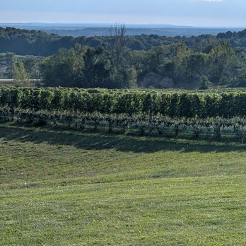 Rove Estate - Wine Tasting Room Near Me - Traverse City, Michigan Rove Estate - Wine Tasting Room Near Me - Traverse City, Michigan