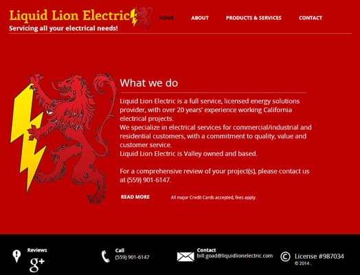 Liquid Lion Electric Logo