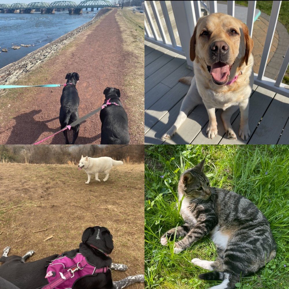 WALKS, WIGGLES AND WAGS Updated September 2024 Request a Quote