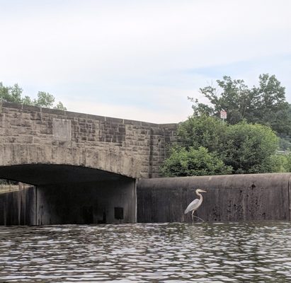 Kayak Pittsburgh North Park by null