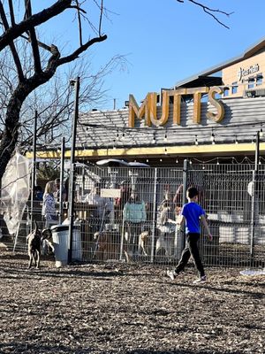 MUTTS Canine Cantina® by null