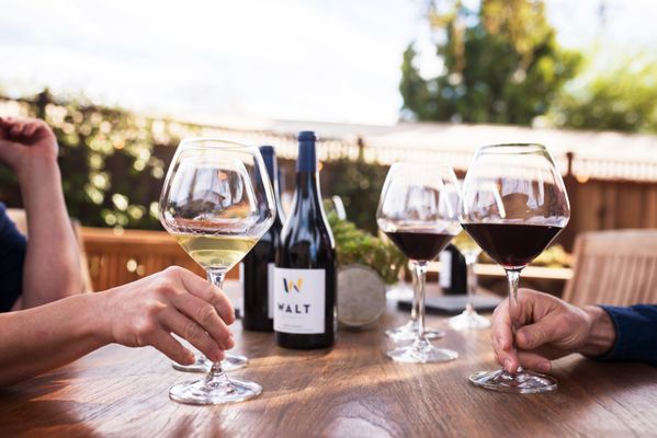 WALT Wines by null