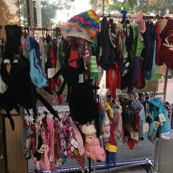 United For Animals Rescue - More sale items - Animal Shelters Near Me - Margate, Florida