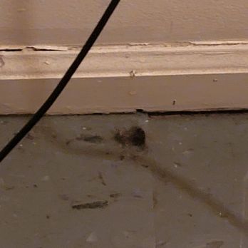 Summer Place Hotel - This the discusting floor in the bedroom - Hotels Near Me - Rehoboth Beach, Delaware