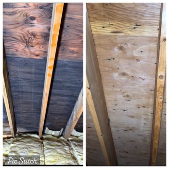 MR. MOLD KILLAH - Damage Restoration Near Me
