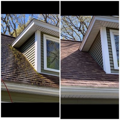 Purple Dragon Soft-Wash