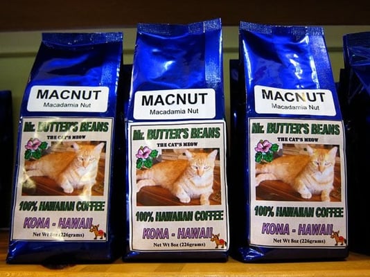 The Original Donkey Ball Store by null