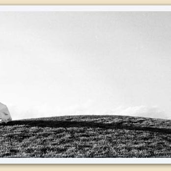 Photography By Laurie - Photographers Near Me Photography By Laurie - Photographers Near Me