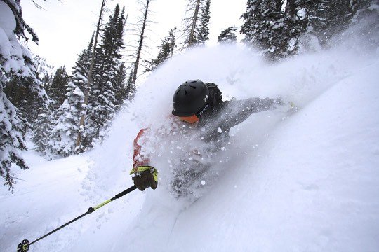 Steamboat Powdercats by null