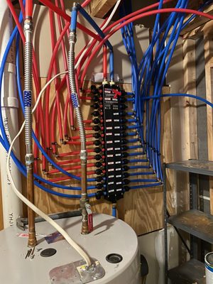 Nichols & Phipps Logo