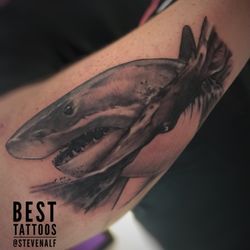 Gold Cobra Tattoo - Great white. Done by Steven Alfieri