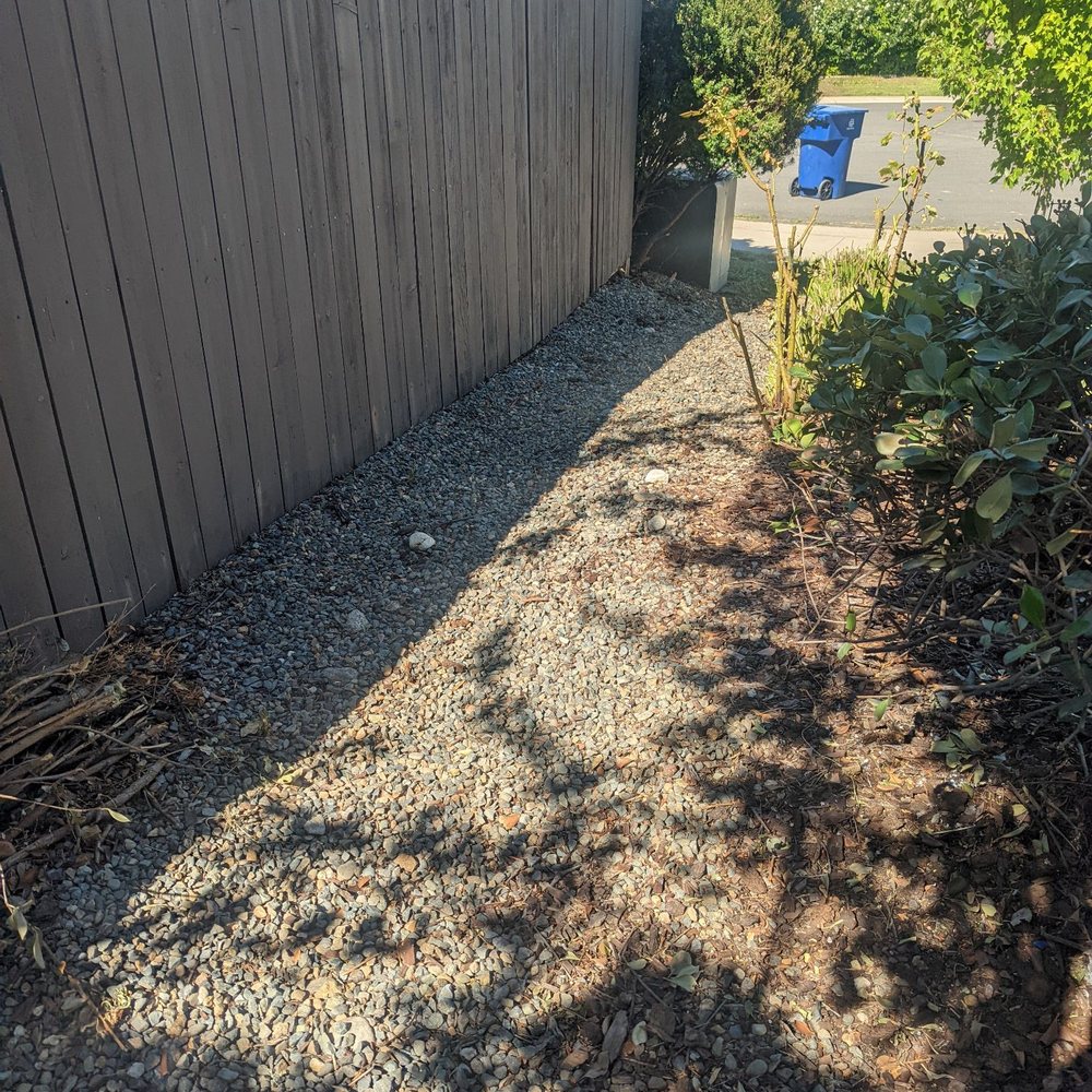 Harry's Landscaping and Maintenance - Weeds everywhere. Cleared all those!! - Landscaping Near Me - Sacramento, California