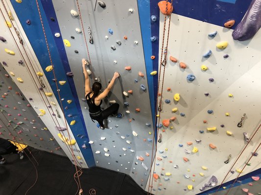 Central Rock Gym by null