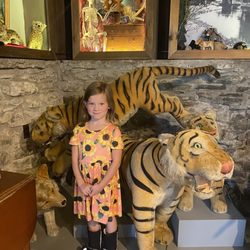 The Den of Marbletown