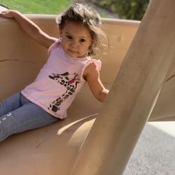 Pillsbury Estates Park - Riding Down the slide