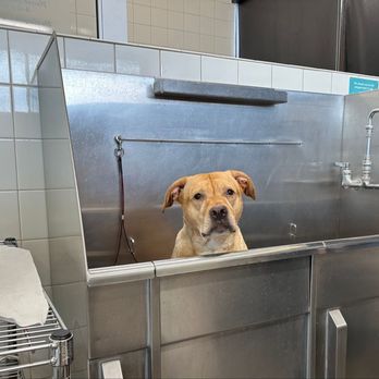 Hollywood Feed - Pet Stores Near Me - Greenwood, Indiana