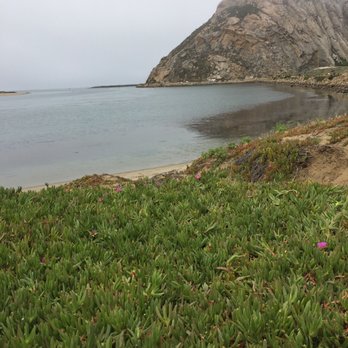 Morro Bay Rock - From a pretty angle. - Beaches Near Me - Morro Bay, California Morro Bay Rock - From a pretty angle. - Beaches Near Me - Morro Bay, California