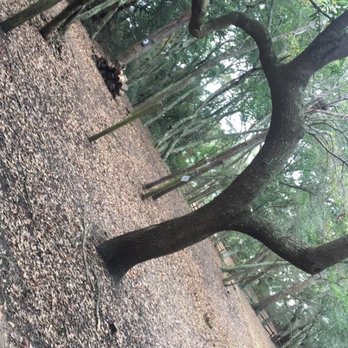 Fort Lamar Historic Preserve - Landmarks & Historical Buildings Near Me - Charleston, South Carolina