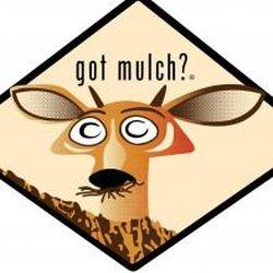 user provided Mulch 'n' More Professionals photo