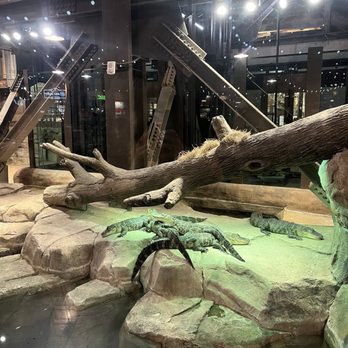 Bass Pro Shop - Guns & Ammo Near Me - Memphis, Tennessee Bass Pro Shop - Guns & Ammo Near Me - Memphis, Tennessee