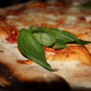Lucali - Close Up of the Fresh Basil - Pizza Near Me - Brooklyn, New York Lucali - Close Up of the Fresh Basil - Pizza Near Me - Brooklyn, New York