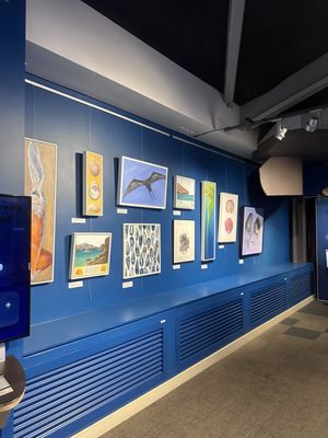Monterey Bay National Marine Sanctuary Exploration Center by null