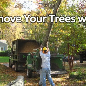 Caffrey Tree & Landscape - a man standing in front of a garbage truck - Landscaping Near Me - Scotch Plains, New Jersey Caffrey Tree & Landscape - a man standing in front of a garbage truck - Landscaping Near Me - Scotch Plains, New Jersey