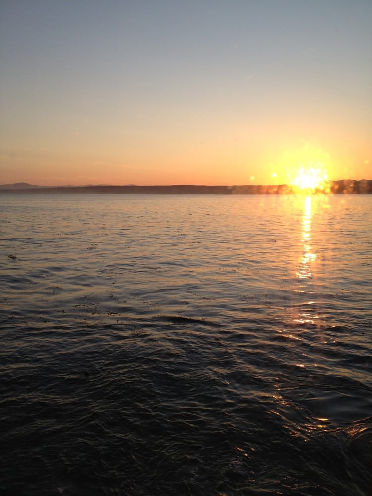 Schooners Monterey