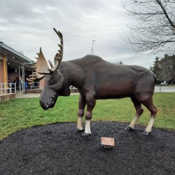 West Gardiner Service Plaza - Moose statue