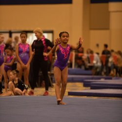 Elite Gymnastics Fitness Academy