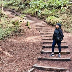 Muir Woods Visitor Center - Hiking thru Muir Woods