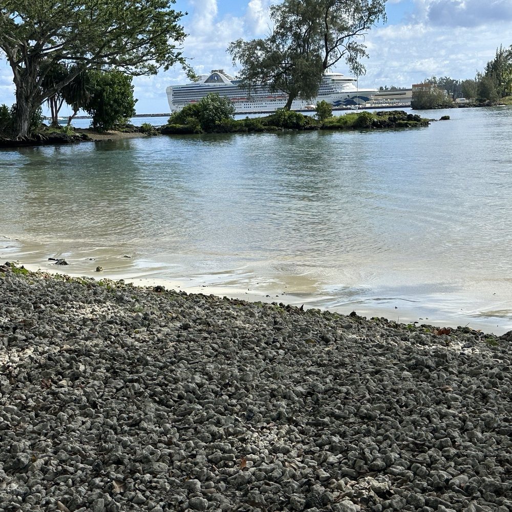 Reeds Bay Beach Park - Pictures of Reeds bay - Parks Near Me - Hilo, Hawaii Reeds Bay Beach Park - Pictures of Reeds bay - Parks Near Me - Hilo, Hawaii