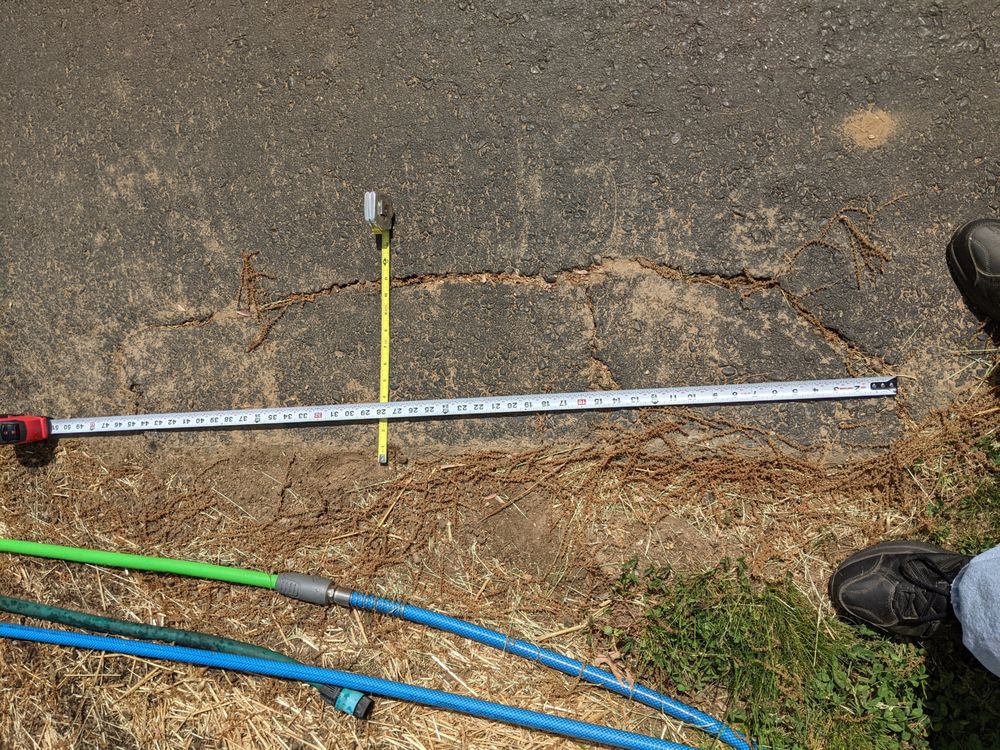 PRESTIGE PROPERTY SOLUTIONS Updated August 2024 Canterbury