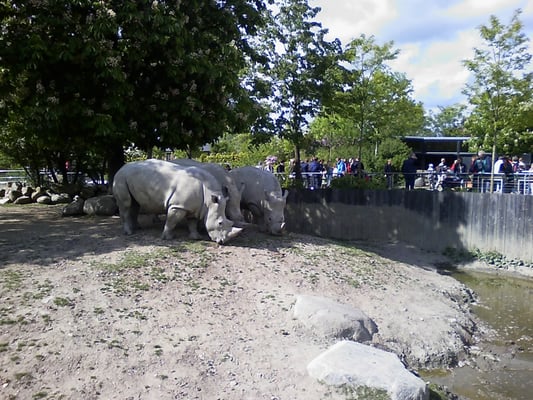 Copenhagen Zoo by null
