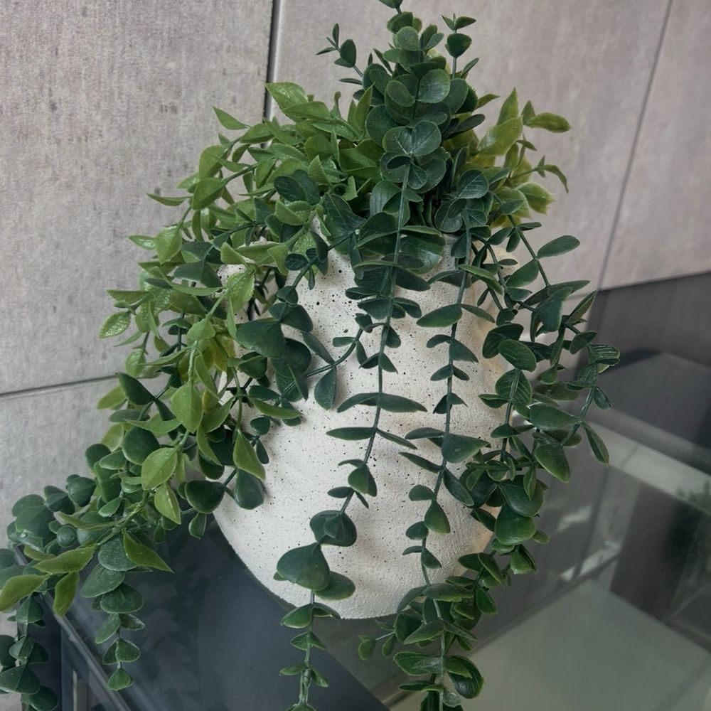 Holy Crepe - Planted inside - Creperies Near Me - San Francisco, California