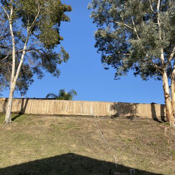 Ortega's Jr Tree Service - Cleaned our backyard including a slope filled with weeds - Tree Services Near Me - Riverside , California Ortega's Jr Tree Service - Cleaned our backyard including a slope filled with weeds - Tree Services Near Me - Riverside , California